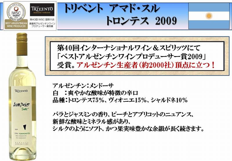 20101115b.jpg