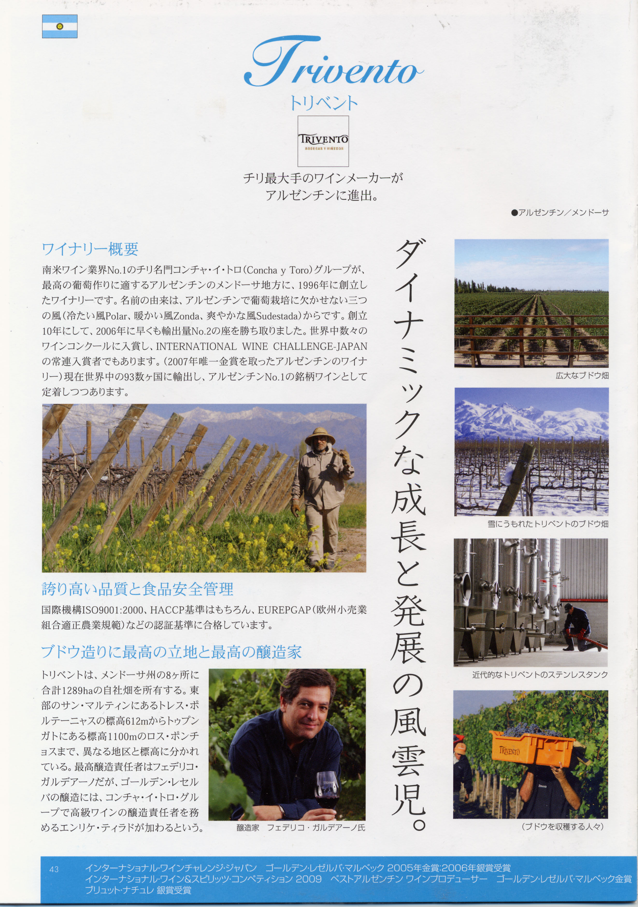 p43.jpg